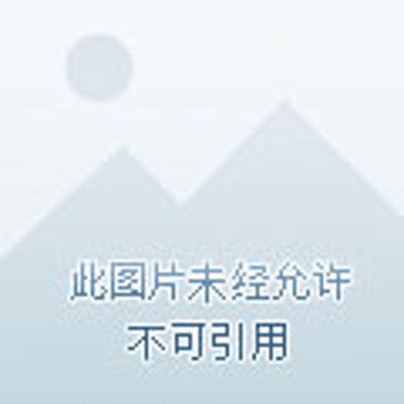 绿化养护每平米成本拆解：三档服务模式实操指南